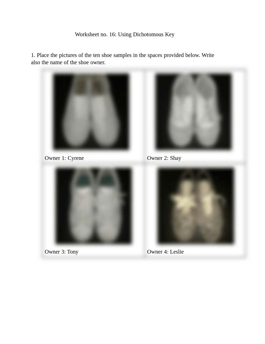 Worksheet no. 16_ Using Dichotomous Key.docx (1).pdf_dtearfagebu_page1