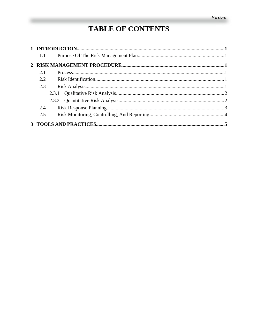 Risk_Management_Plan_Template.docx_dtecdgo8txe_page2