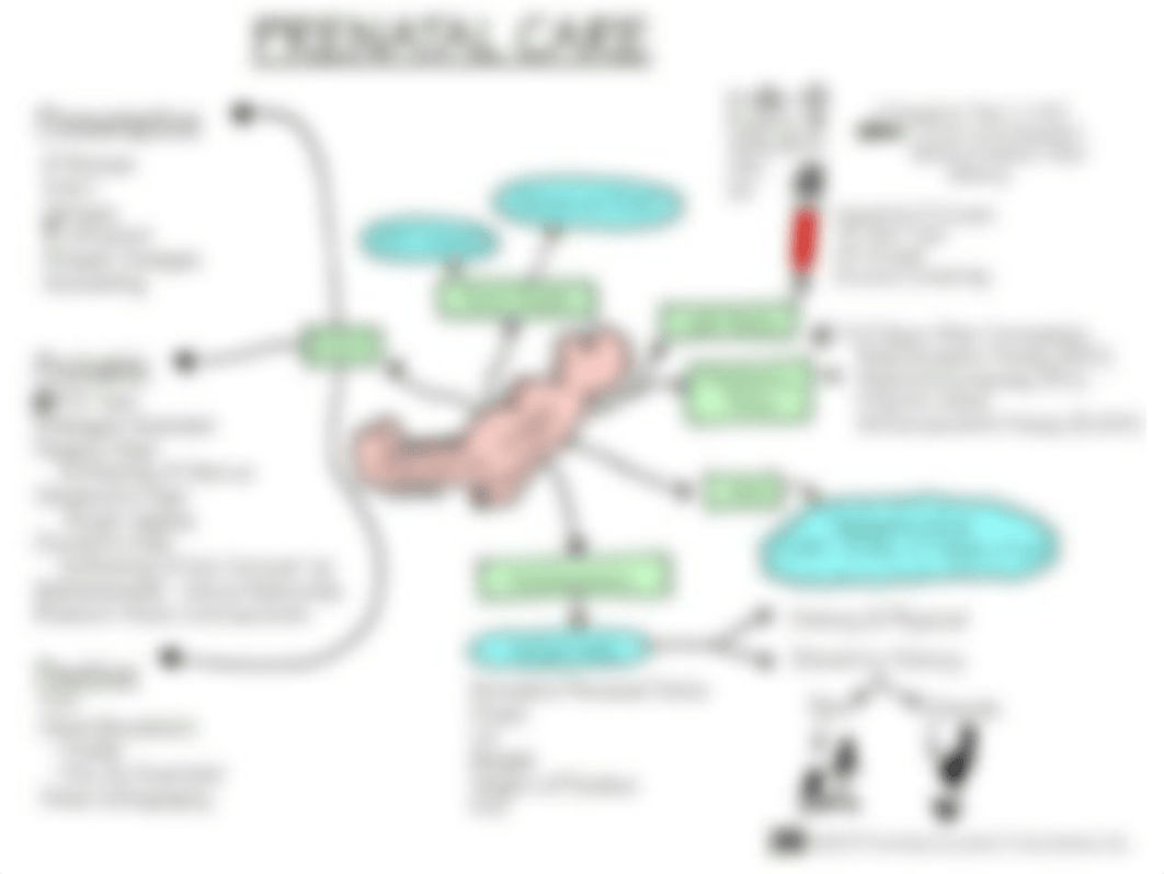 Antepartum_Nursing_Assessment_2012.ppt_dtecsr5acjz_page3