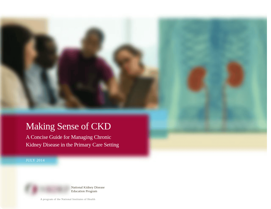 ckd-primary-care-guide-508 (1).pdf_dteglr6qn0w_page1