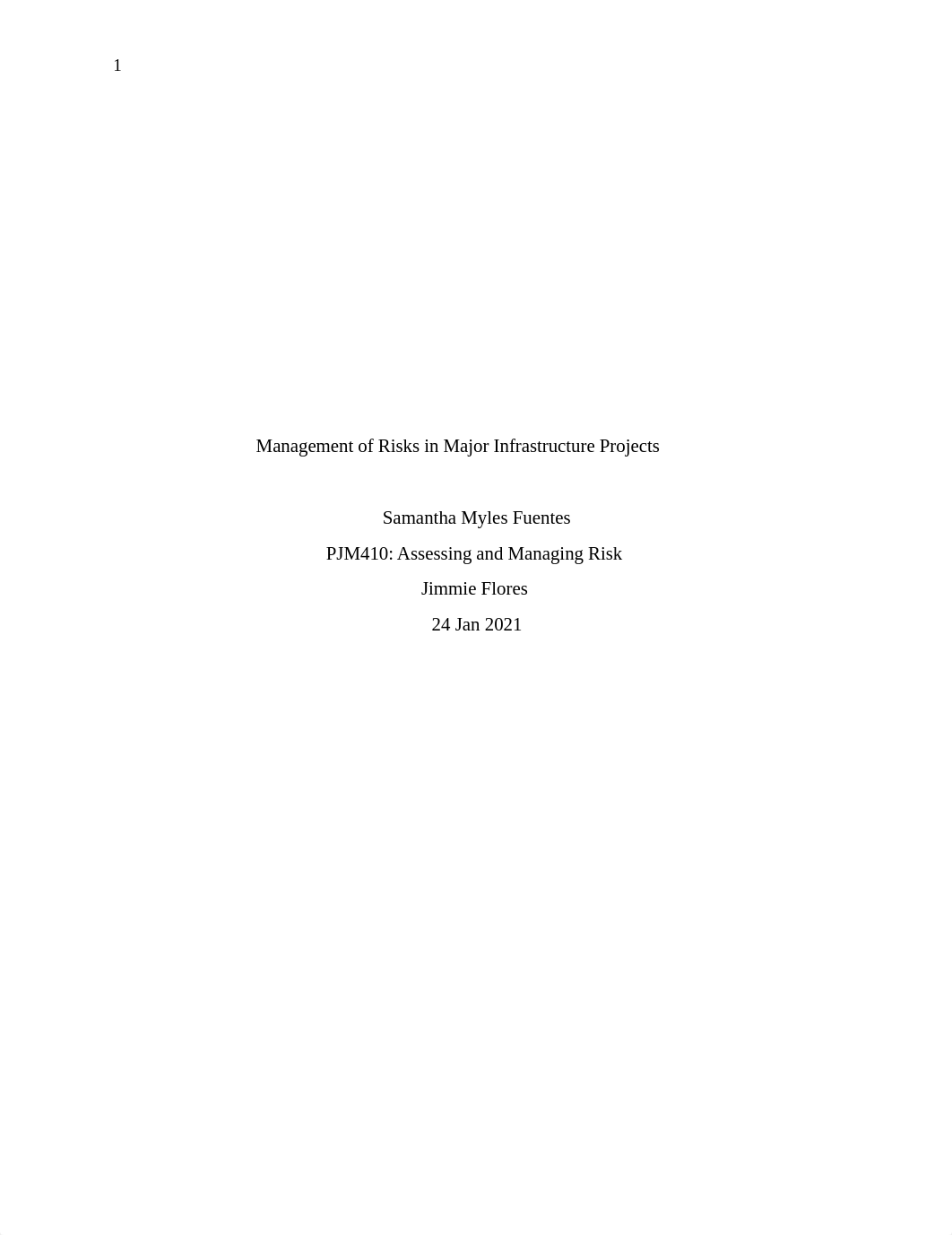 Management of risks in major infrastructure projects.docx_dtelkil7btq_page1