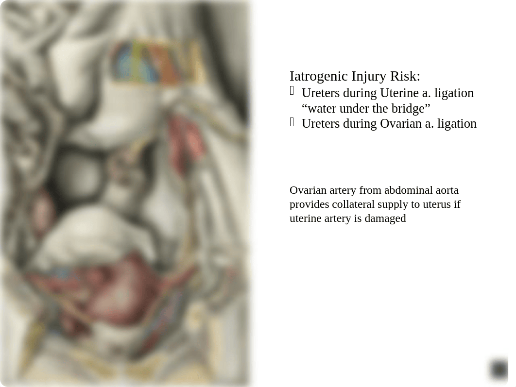 Anatomy 16.pptx_dtfb8gs8853_page5