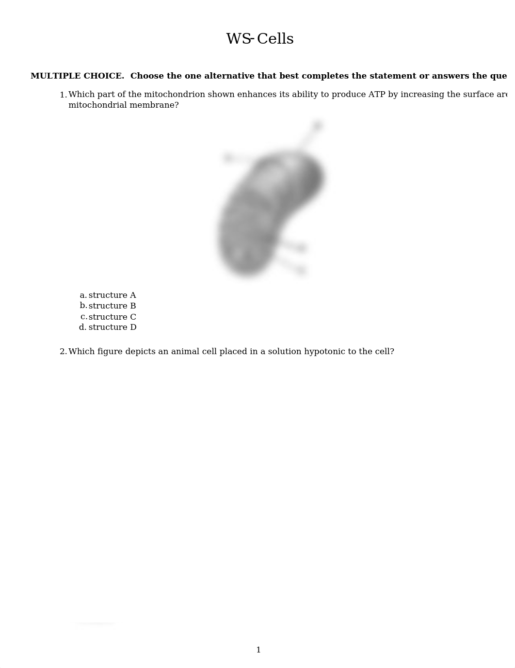 WS-Cells_dtfctm1qhci_page1