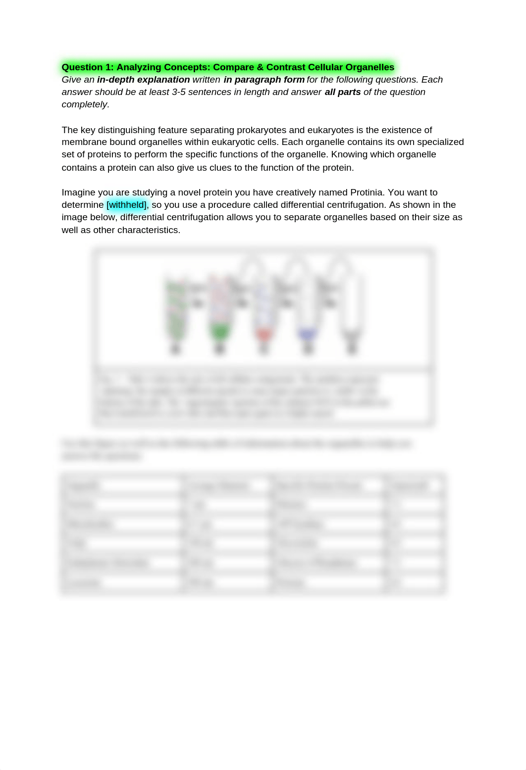 Midterm 2 public release.pdf_dtfww4h8fig_page2