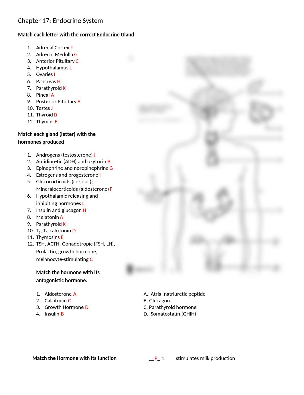 Chapter 17  Review_AK_dtfx77zd279_page1