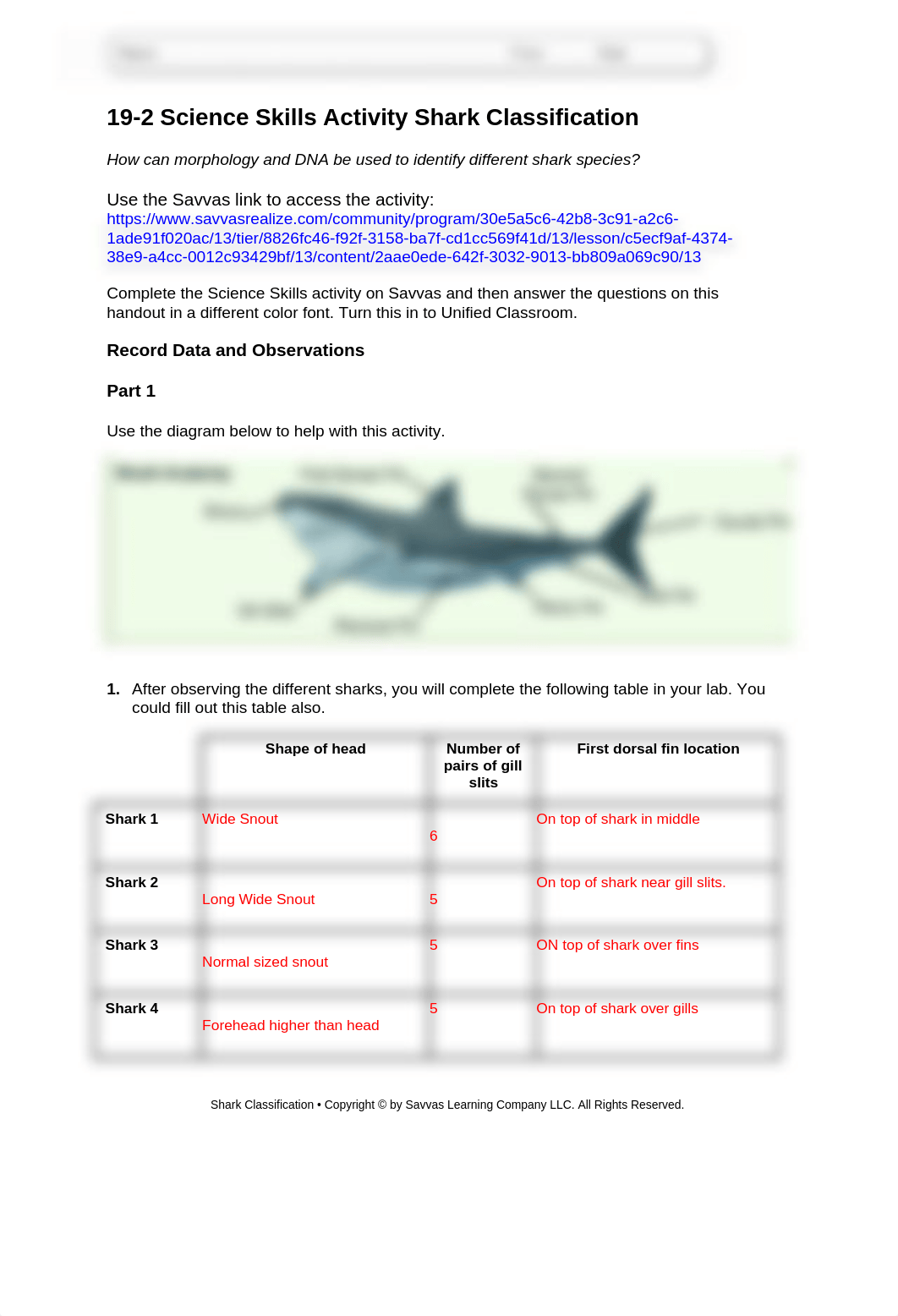 19-2_Science_Skill_Act-Shark_Classification.doc_dtg2c3gnidr_page1