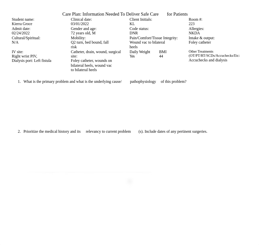 J1 22' CARE PLAN 2.docx_dtg31tlyfh8_page1