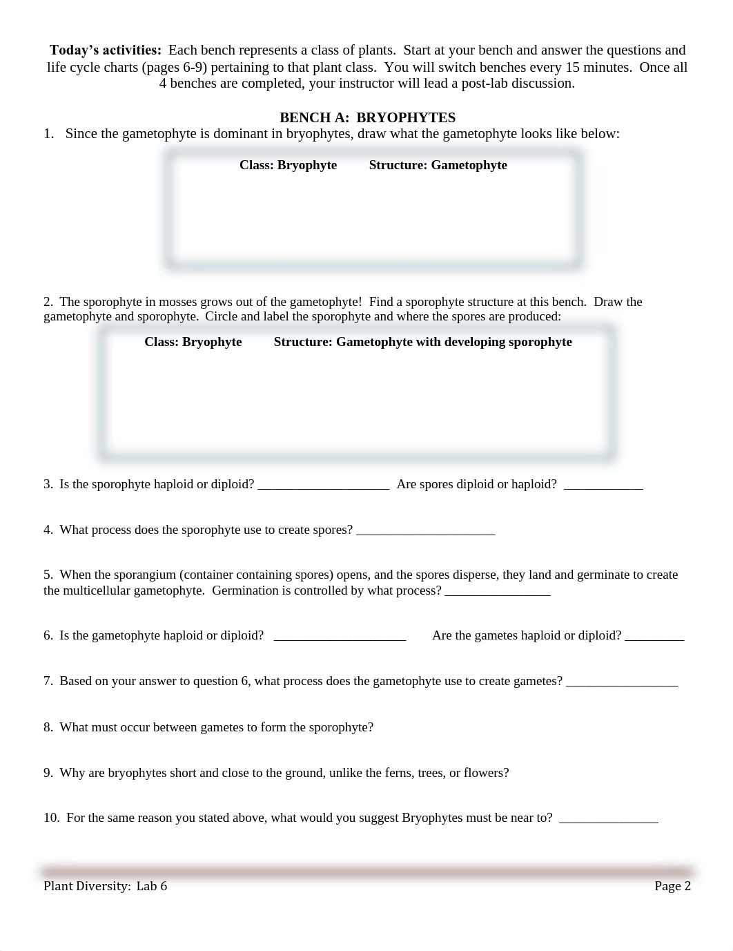 Plant Diversity student handout_dtg3f2a4239_page2