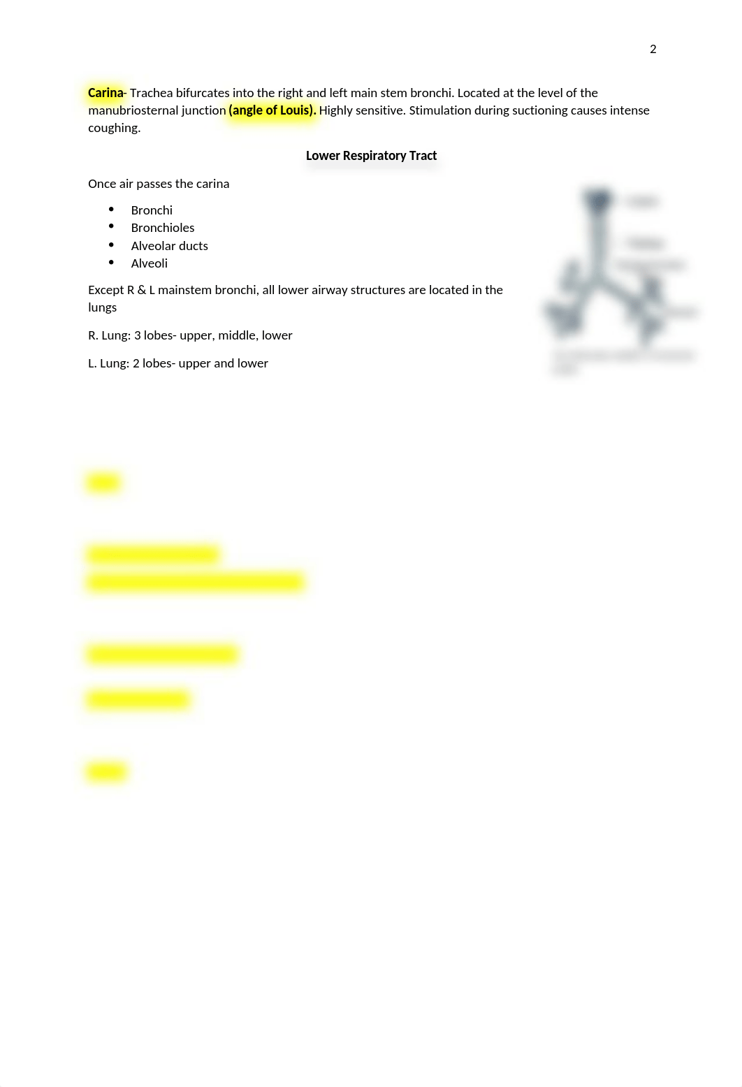 ch 25 assessment of respiratory system.docx_dtg45xsq3tf_page2