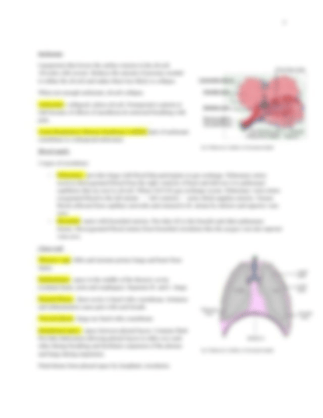 ch 25 assessment of respiratory system.docx_dtg45xsq3tf_page3