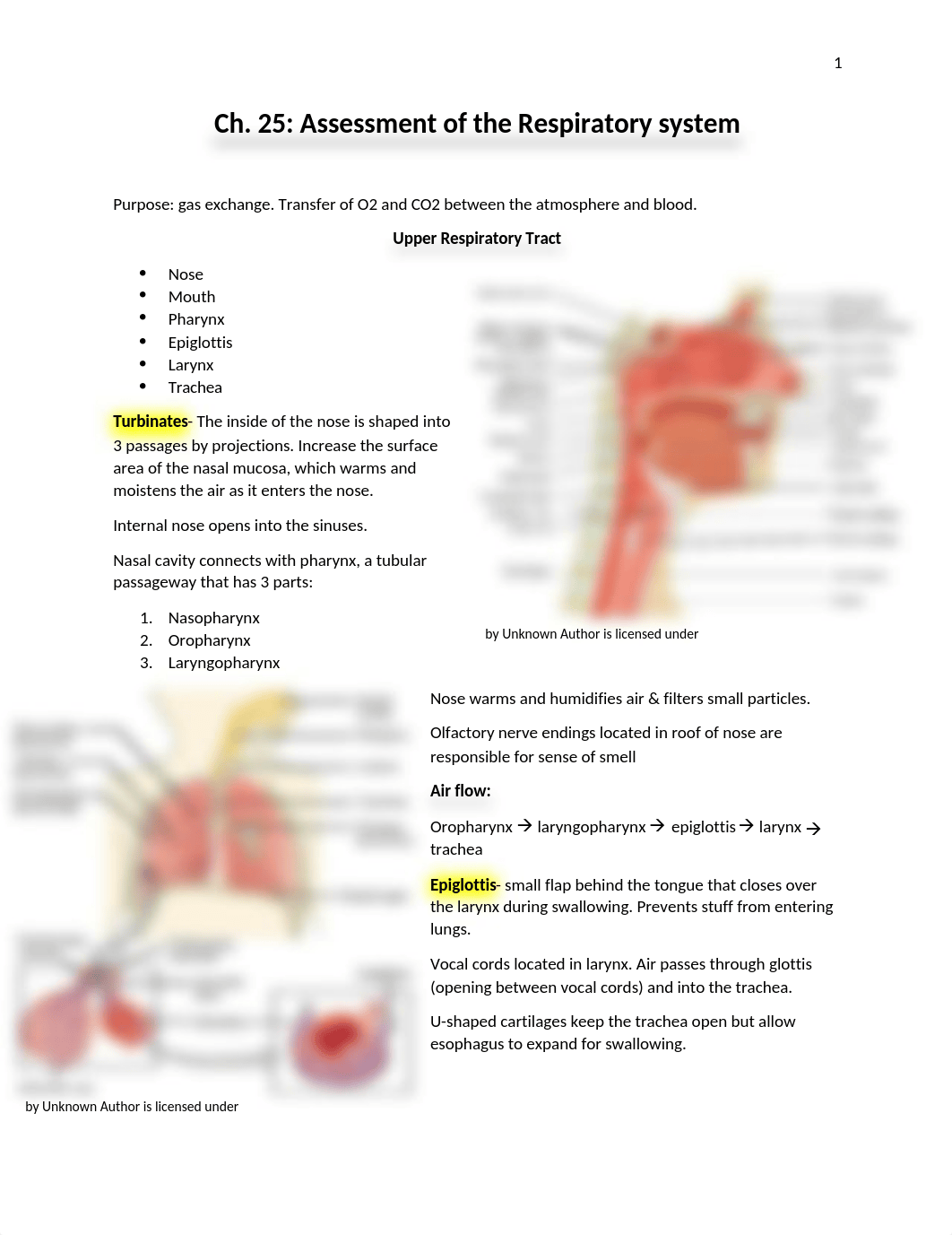 ch 25 assessment of respiratory system.docx_dtg45xsq3tf_page1