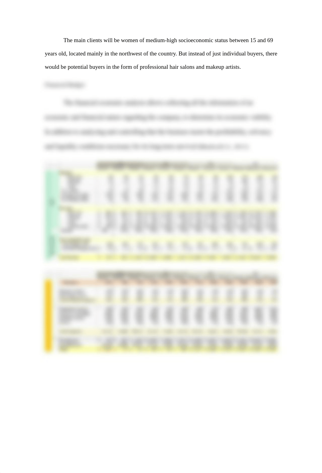 Business Development Report.docx_dtg4slfq7sq_page3