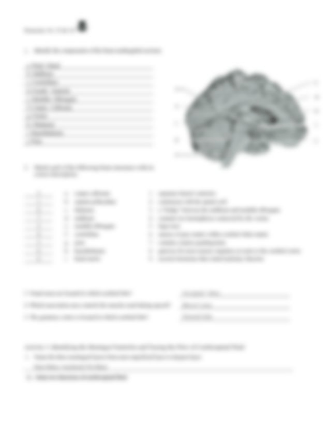 8. Unit 8 laboratory exercise 14 and 15 and 16.docx_dtgb2ajycin_page3