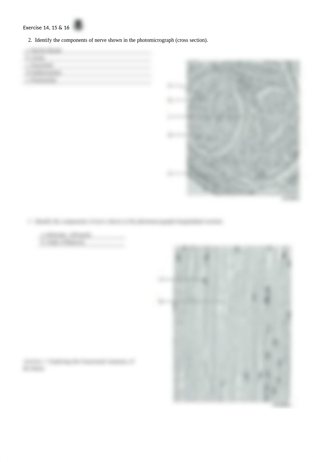 8. Unit 8 laboratory exercise 14 and 15 and 16.docx_dtgb2ajycin_page2