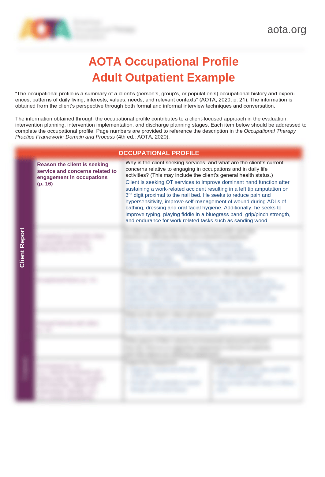 Outpatient Adult Occupational Profile Example.pdf_dtgihwdw5ht_page1