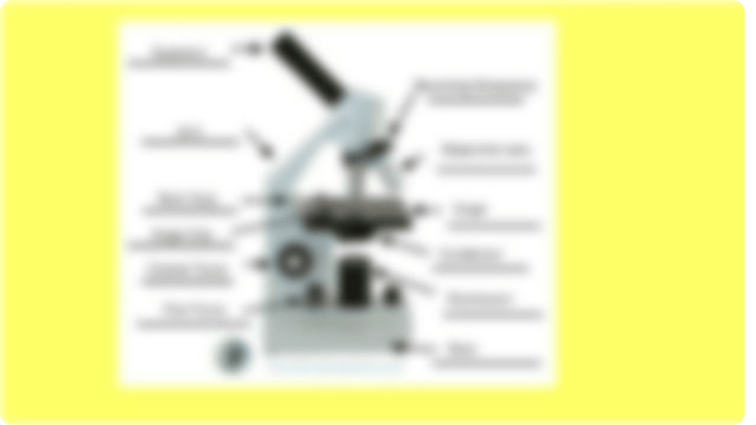 2401 lab study guide exam 1 (3).pptx_dtglio0zglx_page5