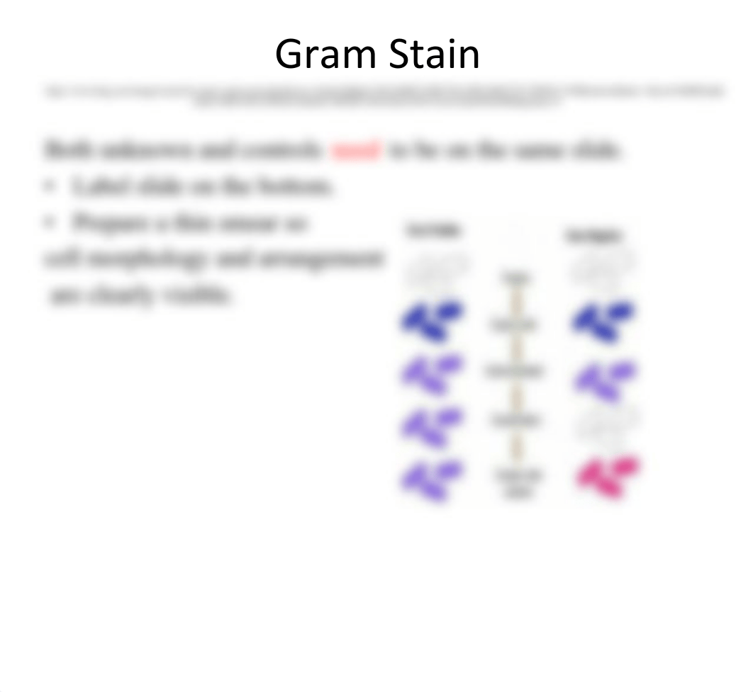 Unknown Lab.pdf_dtgnuki8ryj_page4