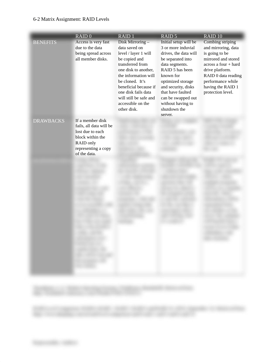 6-2 Matrix Assignment RAID Levels.docx_dtgr5oi0zap_page1