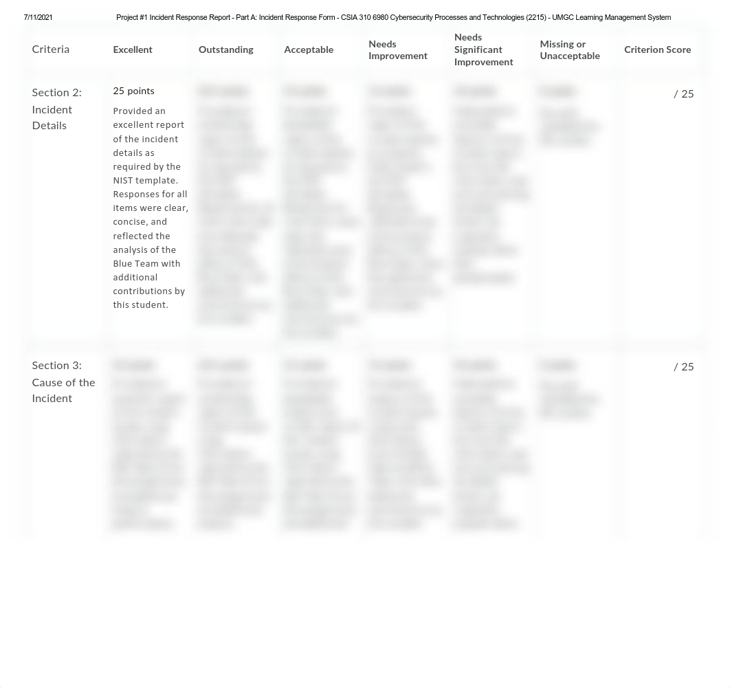 Project 1 Part A Rubric.pdf_dtgx5apni4r_page3