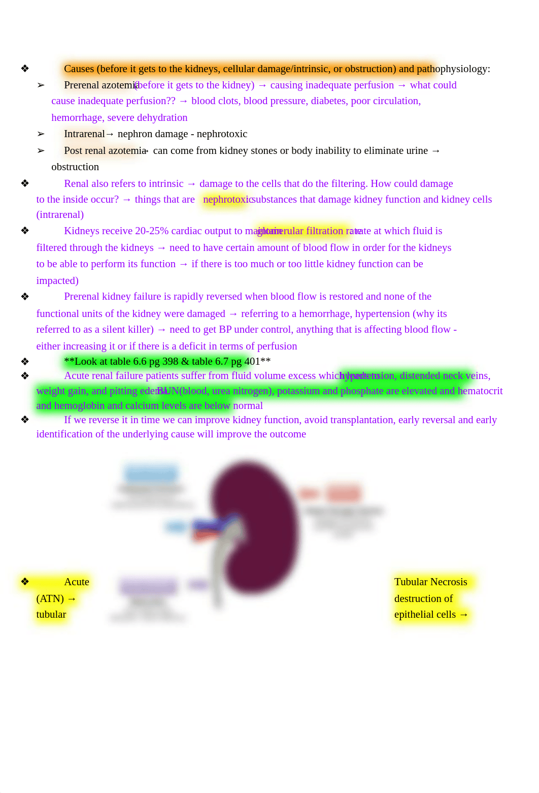 Exam 4 Acute Kidney Injury and Chronic Kidney Disease.docx_dtgy0ui2gi0_page2