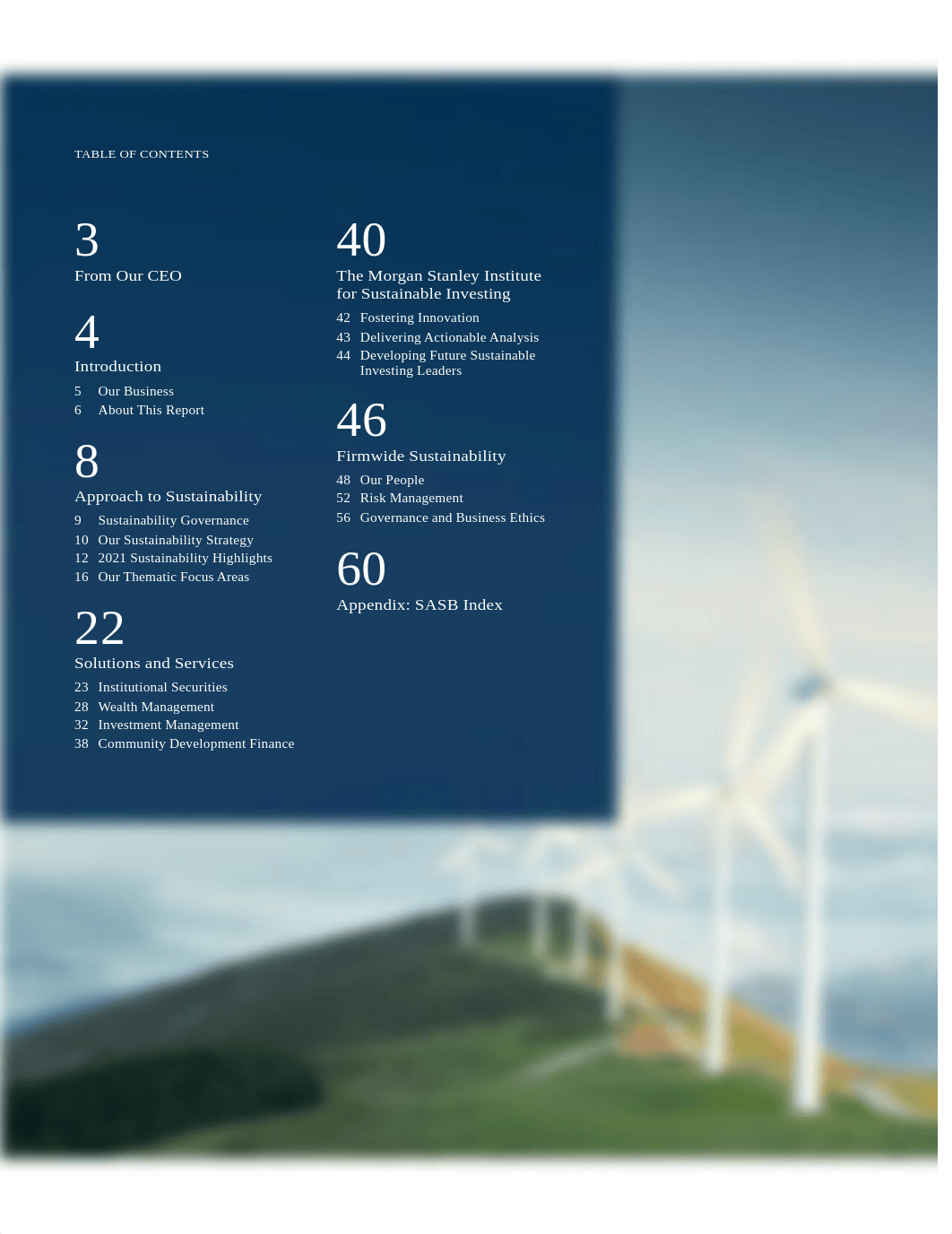 Morgan_Stanley_2021_Sustainability_Report.pdf_dth1dh2h3z5_page2