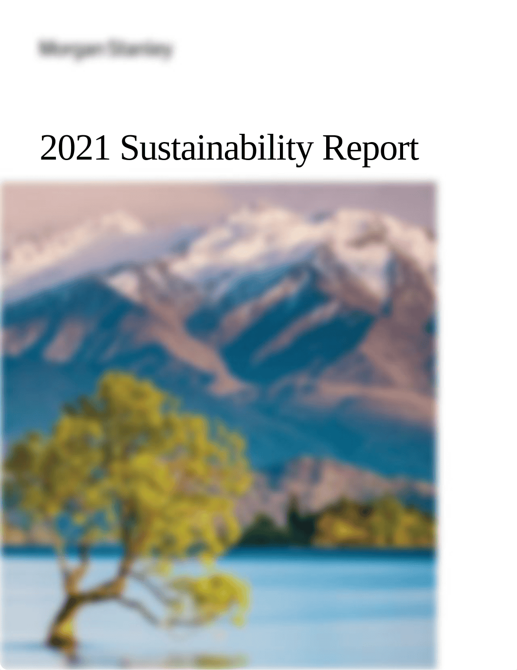 Morgan_Stanley_2021_Sustainability_Report.pdf_dth1dh2h3z5_page1