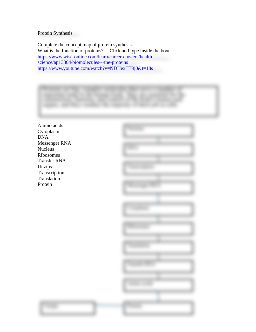 Protein Synthesis Concept Map (2).docx_dth1vf6d70w_page1