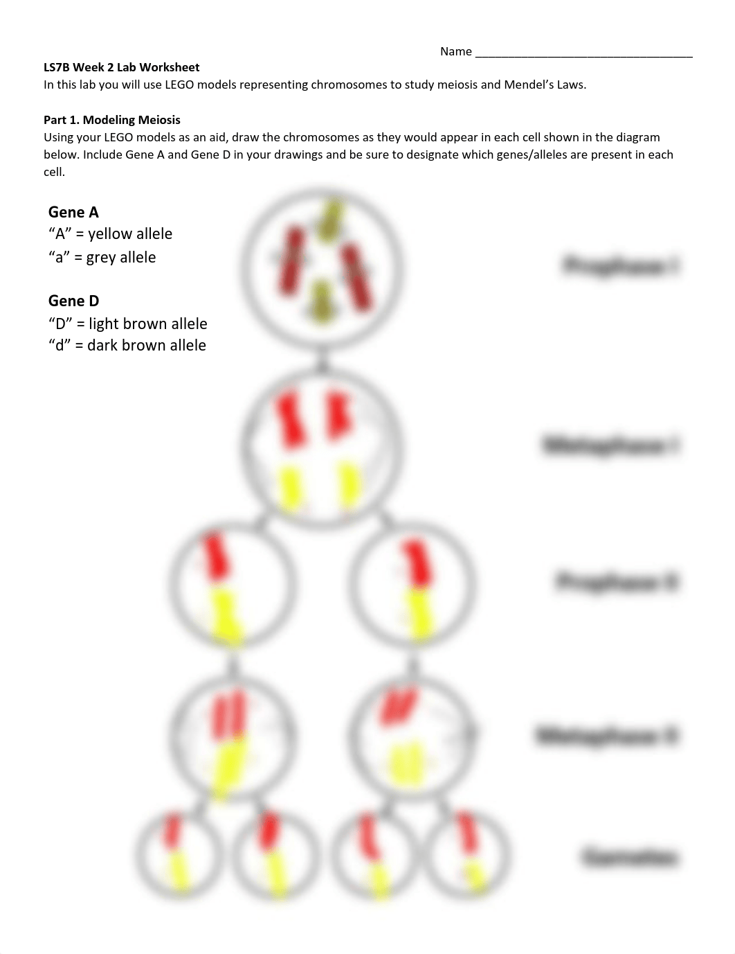 Kami Export - LS7B Week 2 LEGO Lab Worksheet F21.pdf_dthbur1jvfq_page1