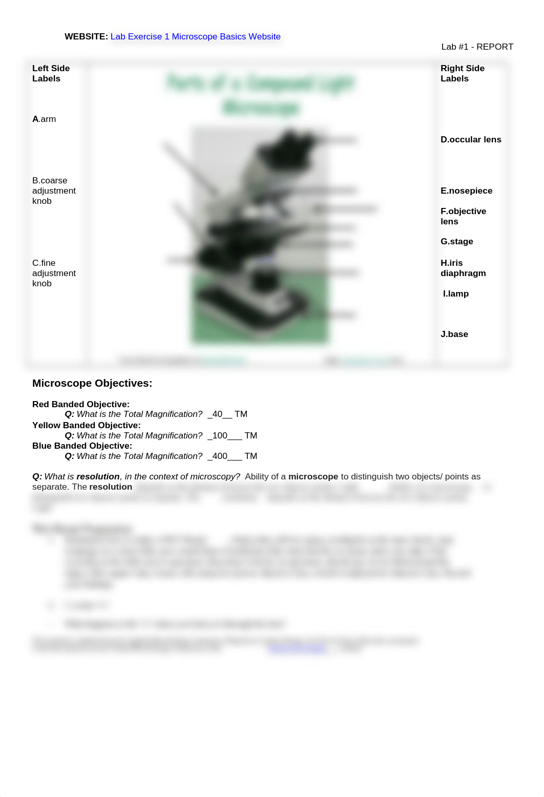 1-2 Microscopy-Lab-1-REPORT with PowerPoint Questions(1) Dustie.docx_dthgslklcj2_page2