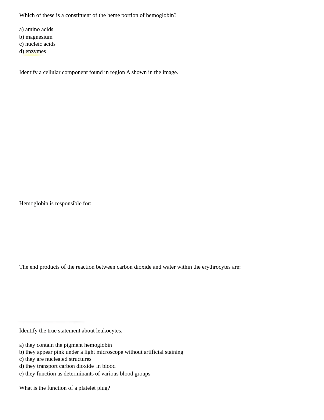 APII Exam 1 Practice Qs-1.docx_dthijr7qpqi_page1