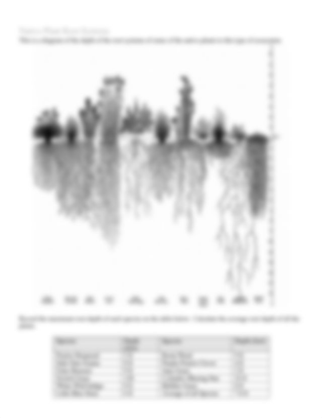 Graphing the Dust Bowl2.docx_dthj836tls6_page3