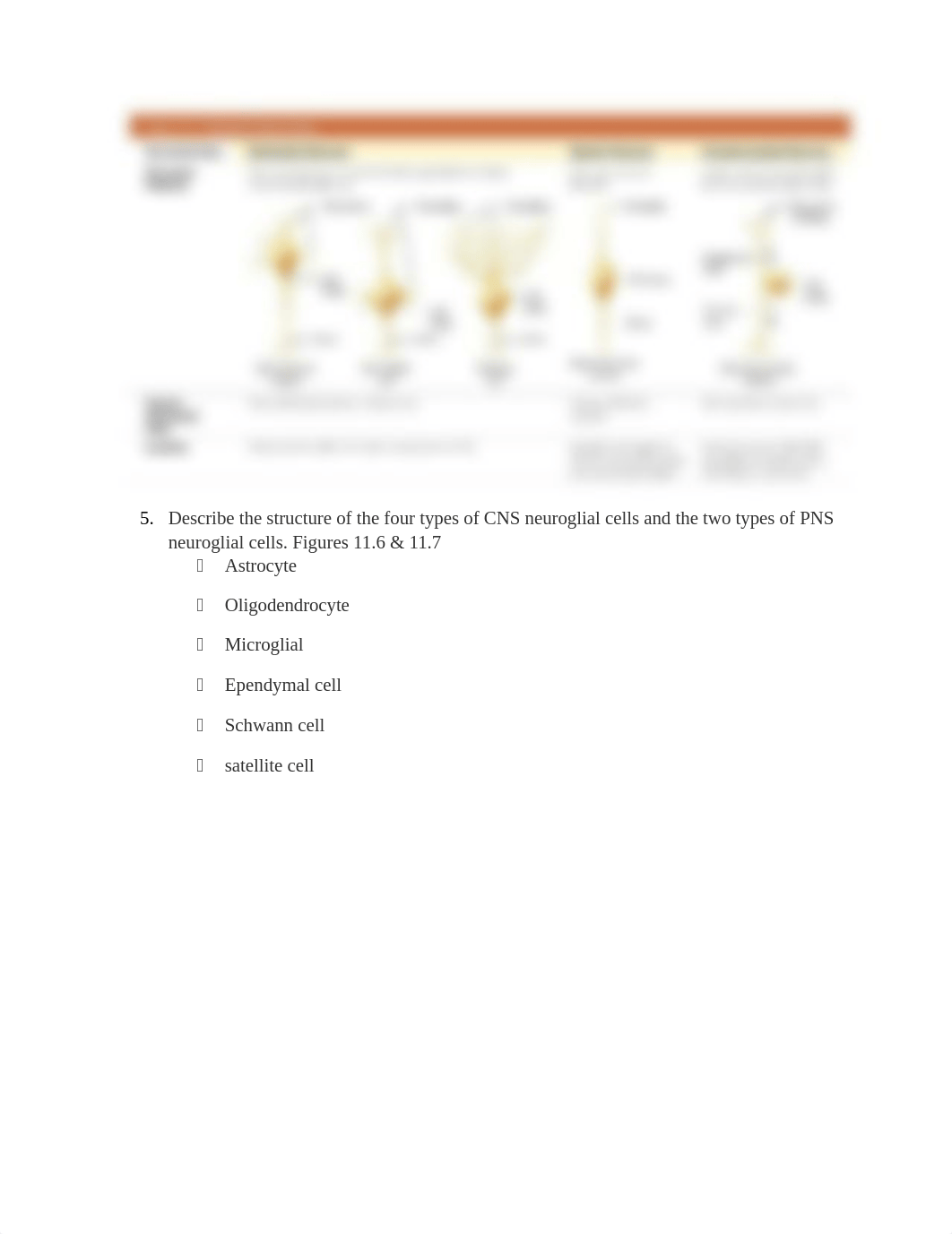 Exam 3 study guide_dthjwlbb247_page3