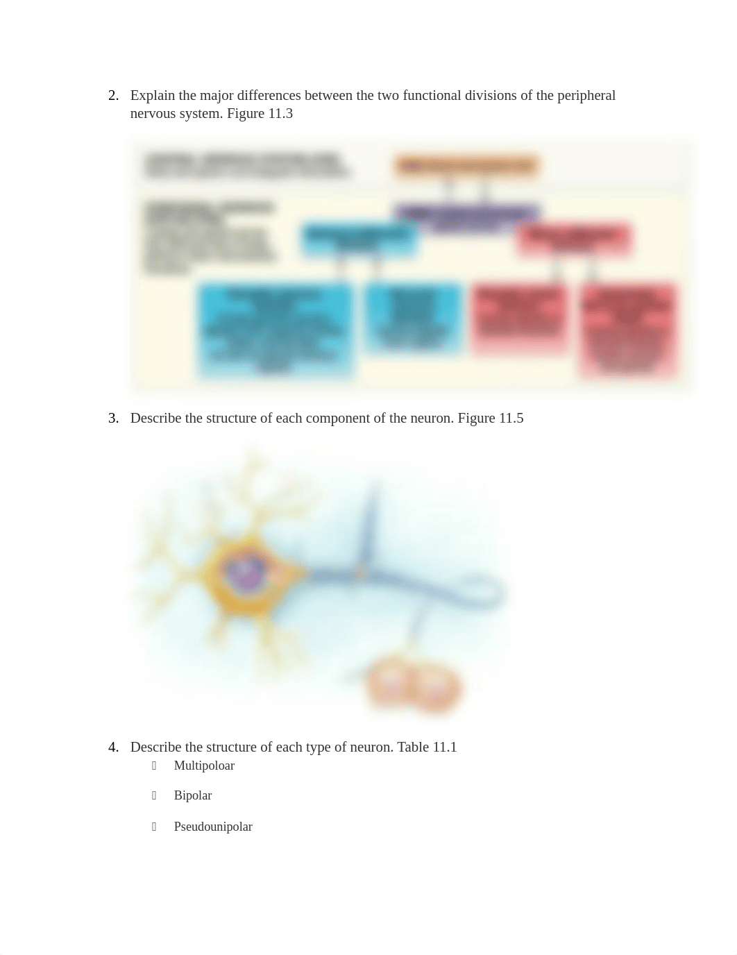 Exam 3 study guide_dthjwlbb247_page2