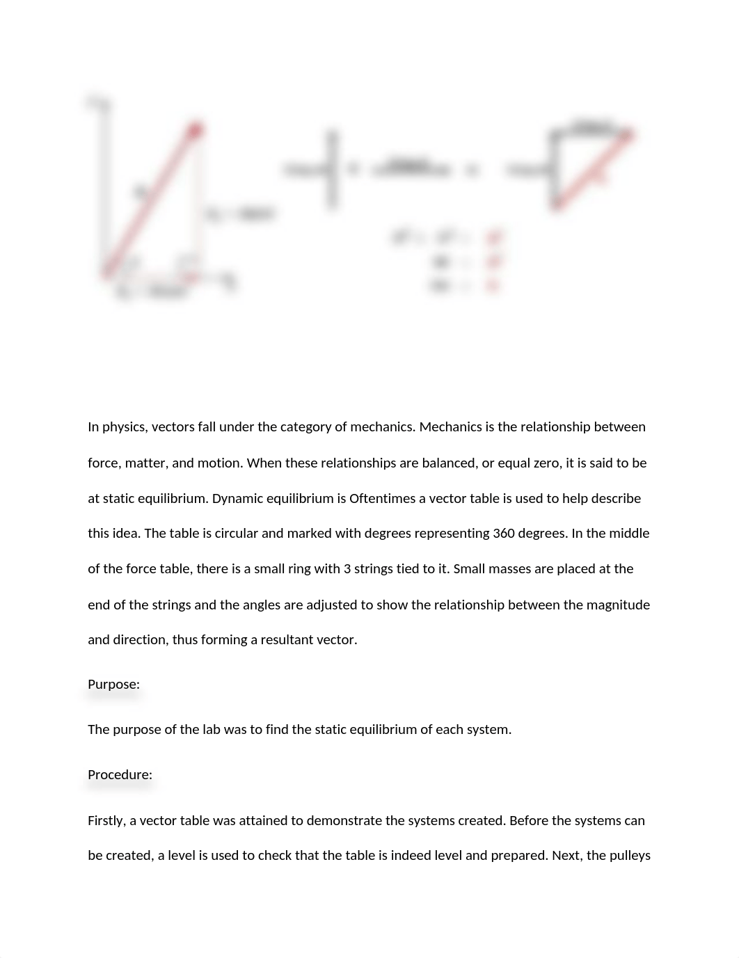 Vectors Lab P221.docx_dthn5v7jr1s_page3