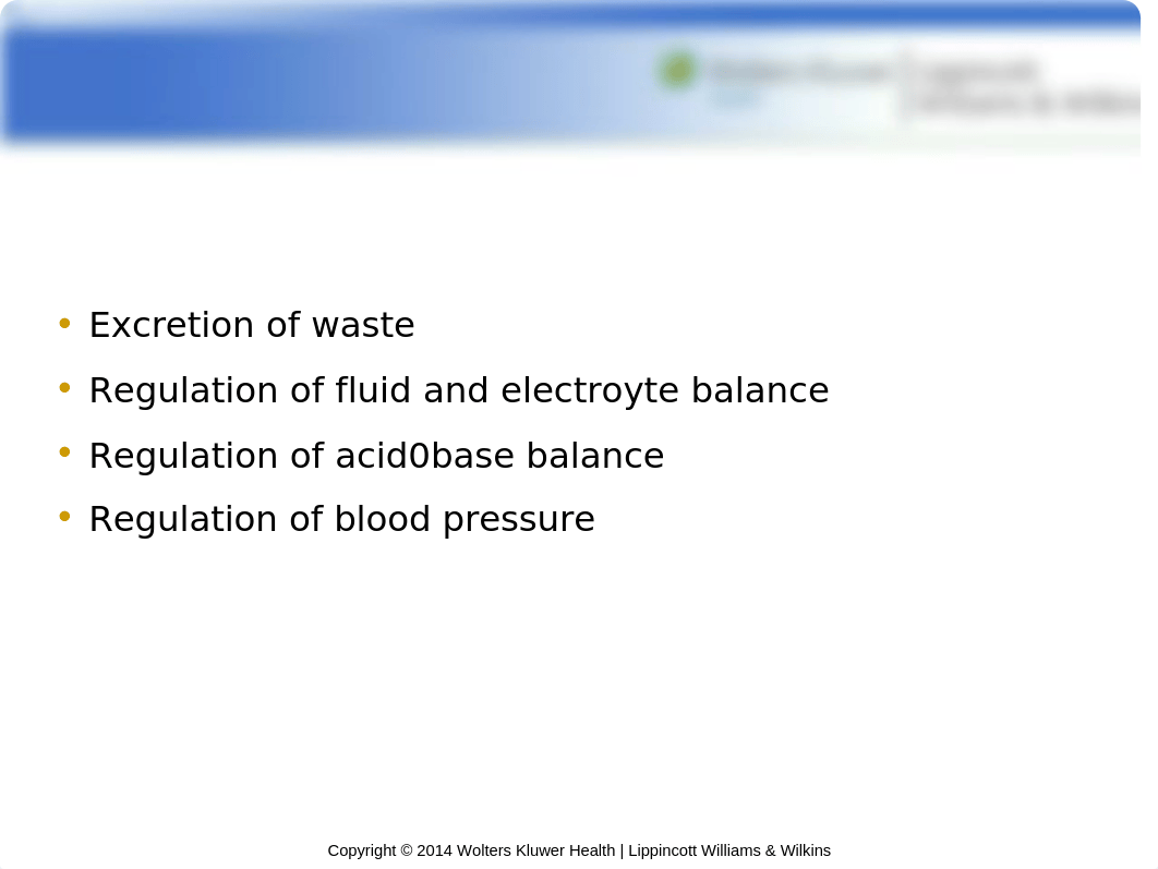 Kidney and urinary .ppt_dthqnd7ndsg_page4