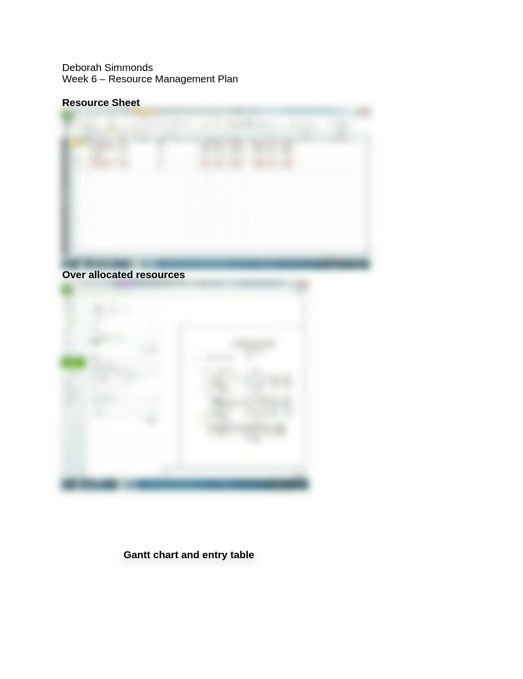 Week 6 - Resource Management Plan_dthuveai4gj_page1