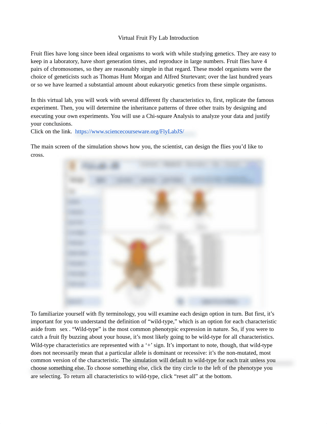 AP Fruit Fly Genetics Lab. Part 1.pdf_dthv0b437pb_page1