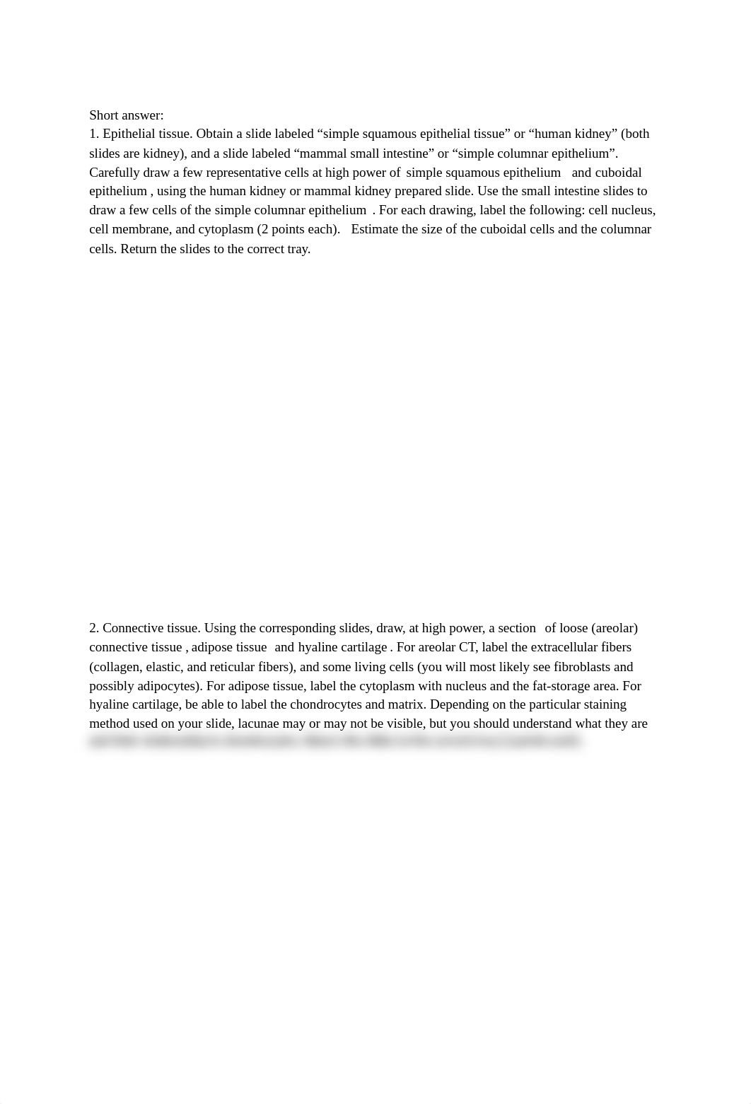 Lab 3. Tissues and the Integumentary System.docx_dthyeq80v6l_page2