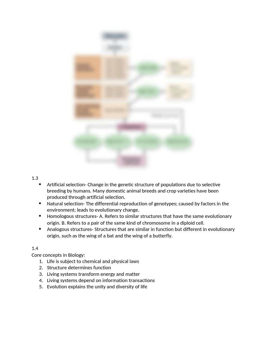 BioTest1.docx_dthyqa76exf_page2