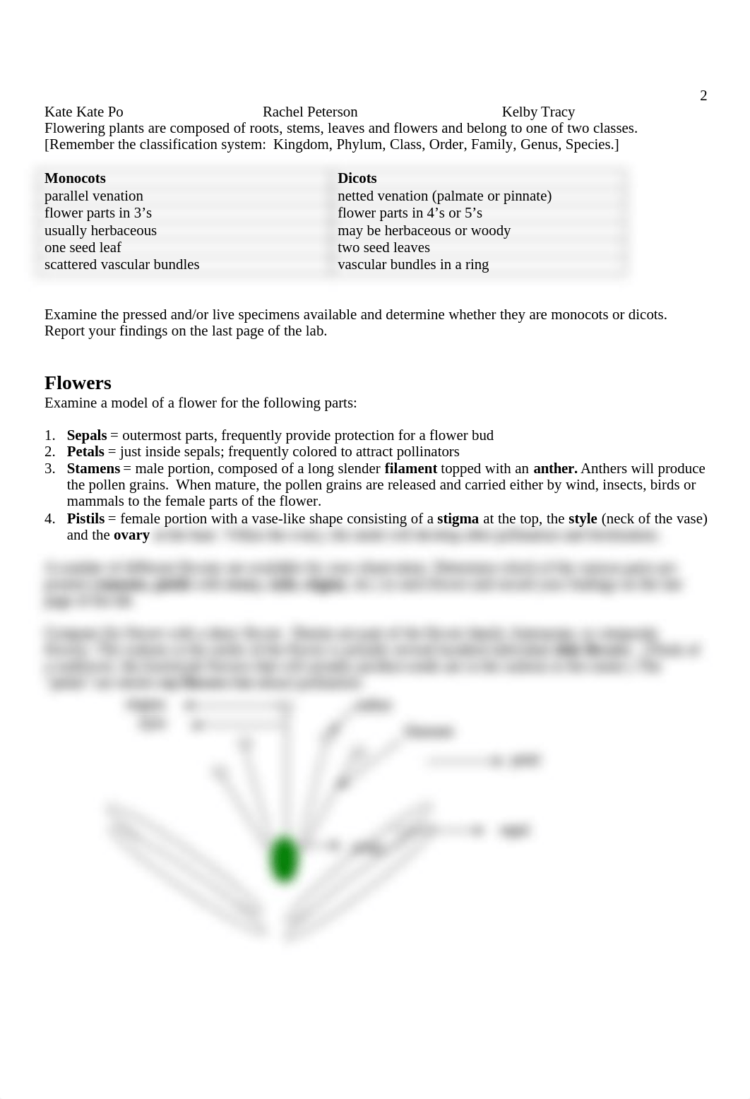 Flowers and Fruits lab.doc_dti5i7e72g8_page2