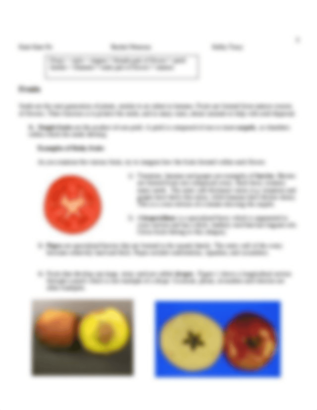 Flowers and Fruits lab.doc_dti5i7e72g8_page3