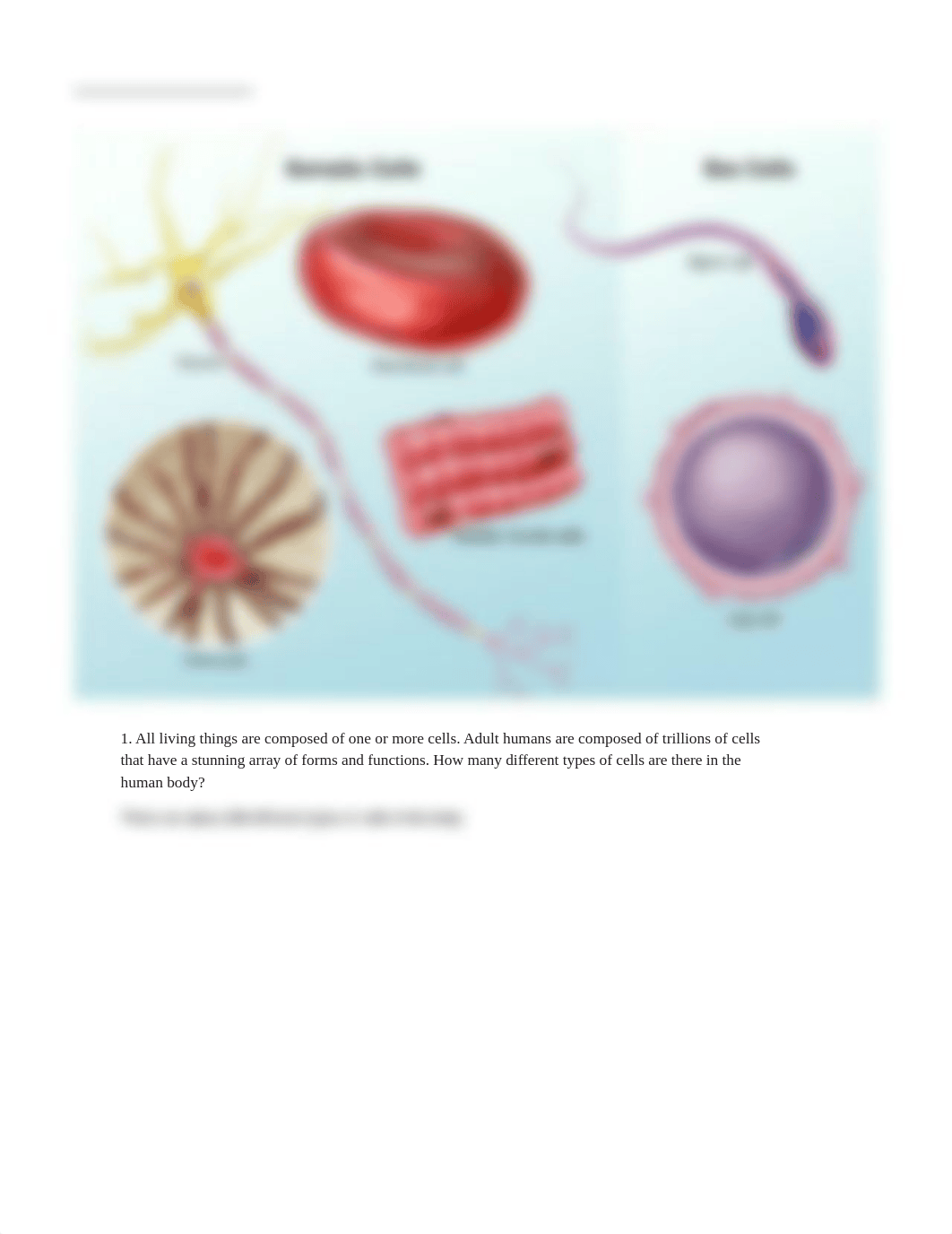 lab manual_cells_a+p answers.pdf_dti7yuqdlg9_page4