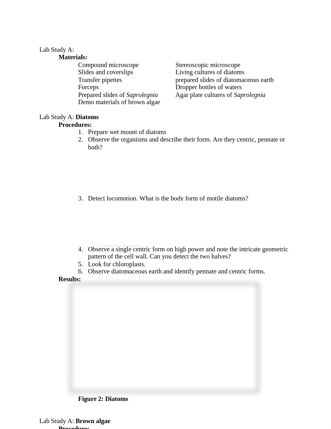 Bio lab 13 and 17 protist and fungi_dtic7x0rp9r_page2