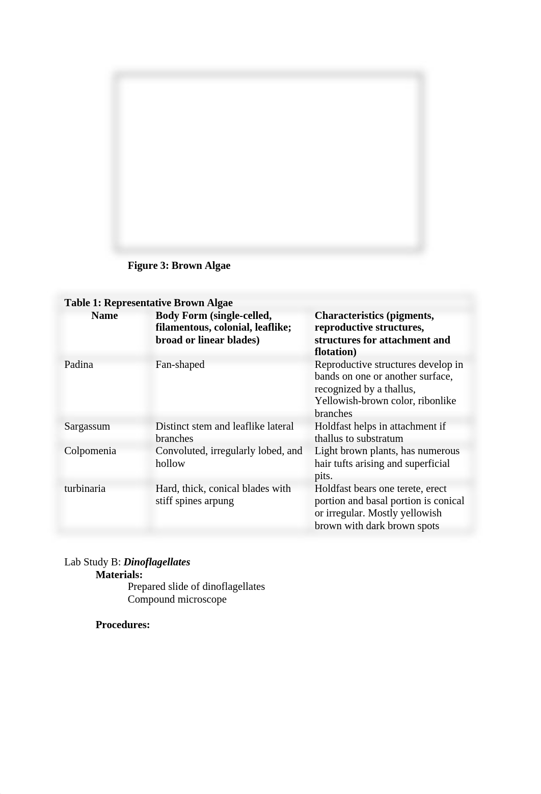 Bio lab 13 and 17 protist and fungi_dtic7x0rp9r_page3