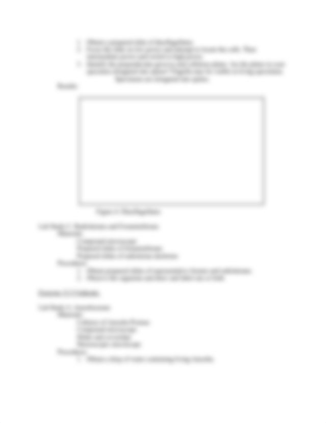 Bio lab 13 and 17 protist and fungi_dtic7x0rp9r_page4