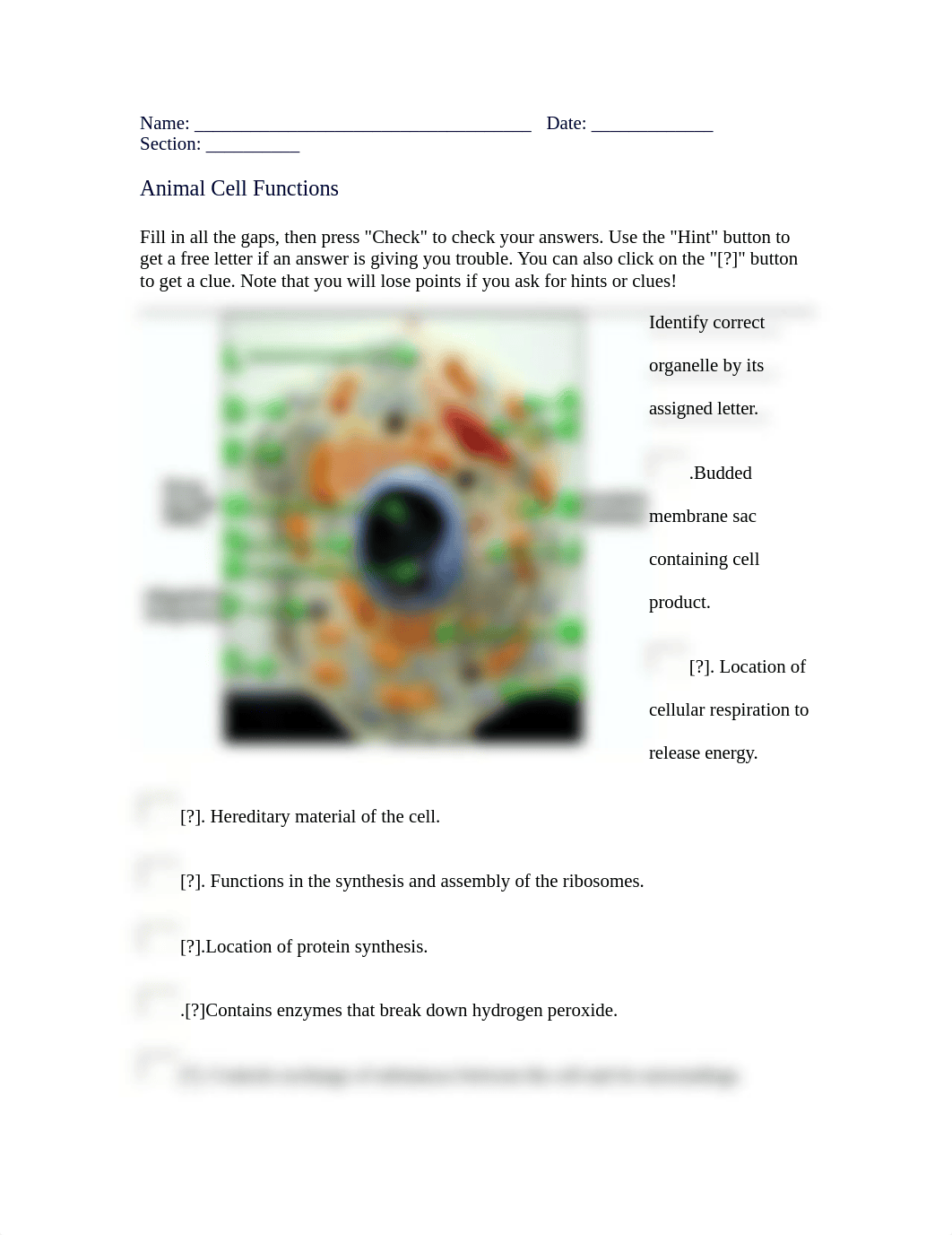 animal cell functions.doc_dtid7xwtb3x_page1