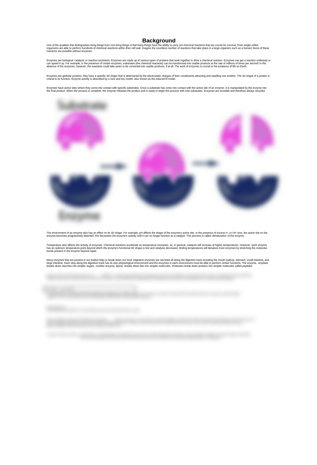 enzyme lab_dtif3k9hntw_page1