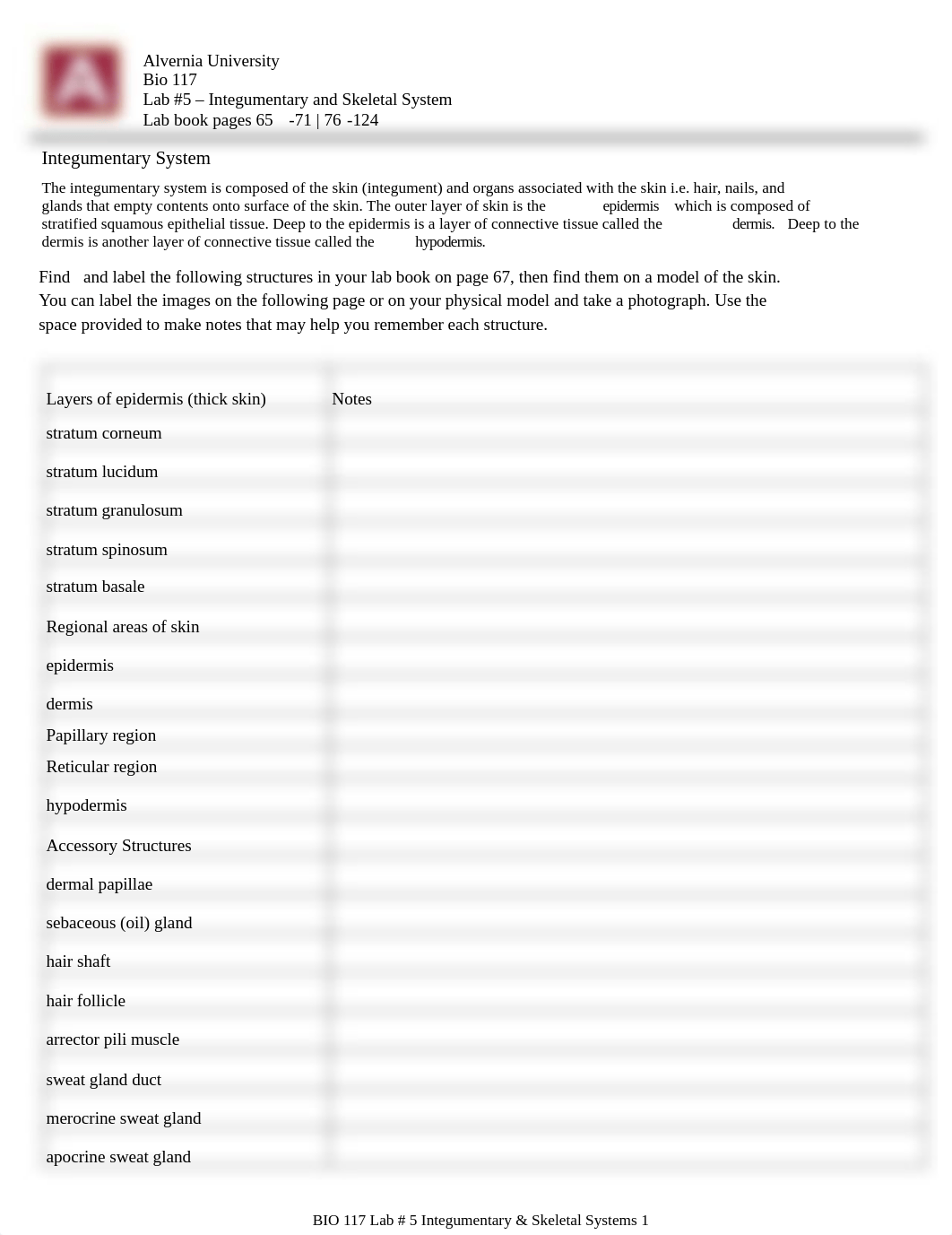 Lab 5 Integumentary System and Bone Tissue.pdf_dtif6krtub2_page1