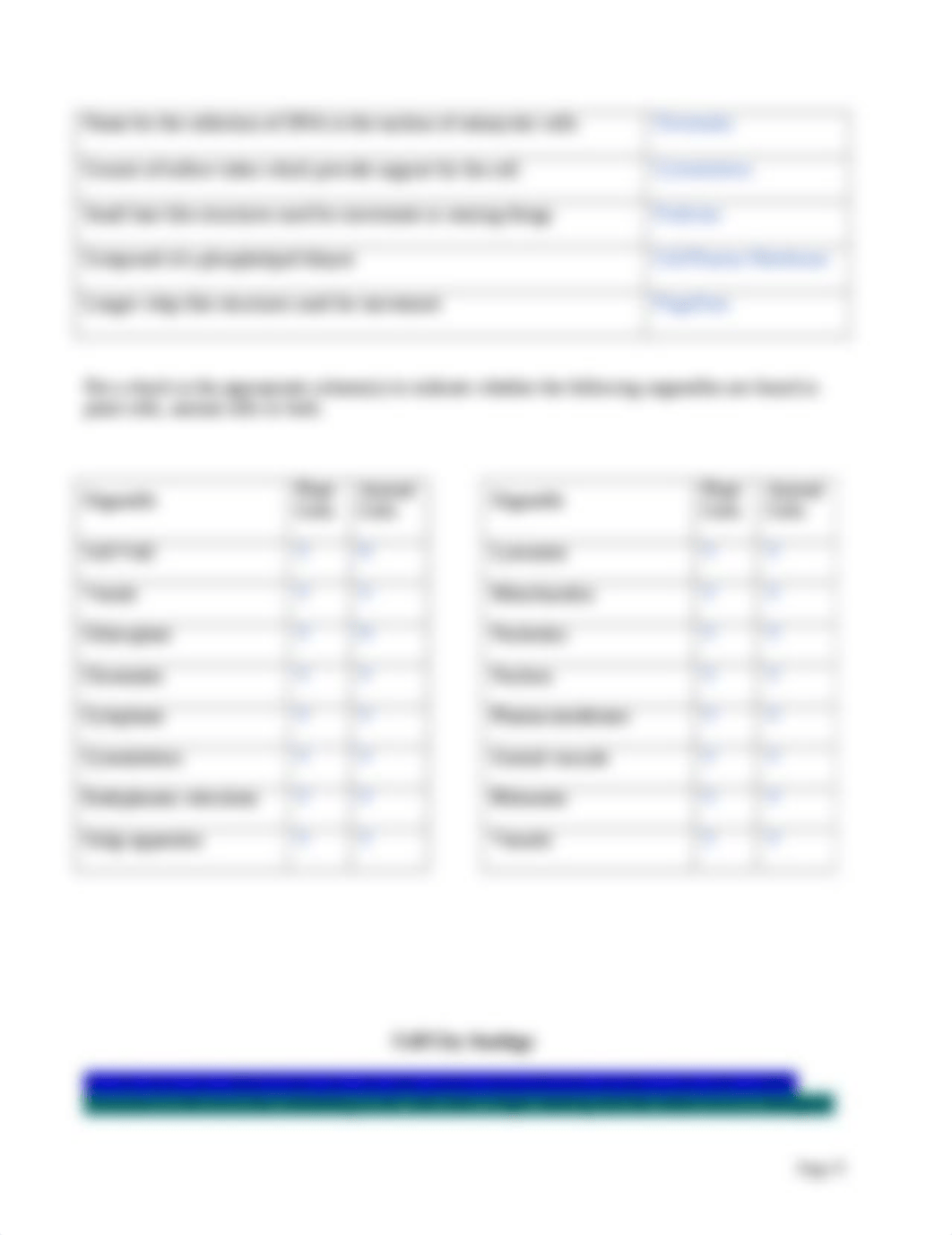 Cell and organelles worksheet.doc_dtifvknt969_page4