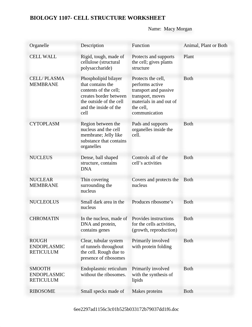 Cell and organelles worksheet.doc_dtifvknt969_page1